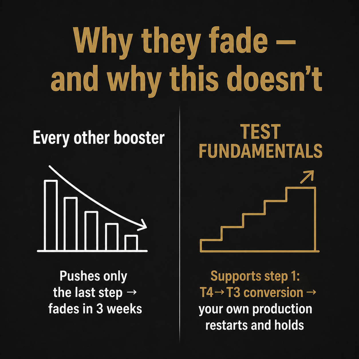 Test Fundamentals™ — Thyroid-First Testosterone Support